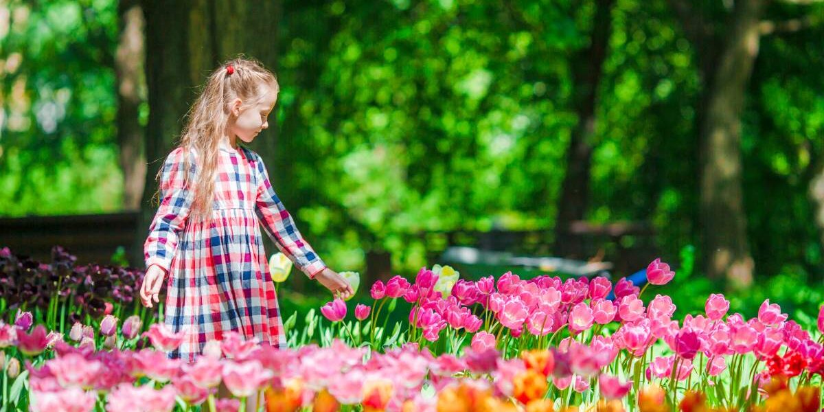 little-adorable-girl-in-blooming-tulips-garden-2021-08-30-02-10-09-utc